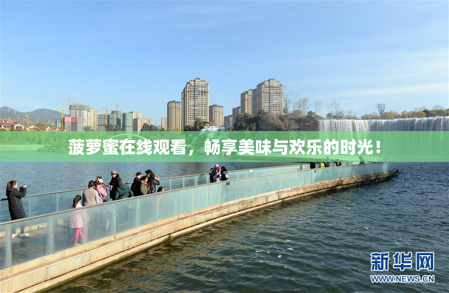 菠萝蜜在线观看，畅享美味与欢乐的时光！