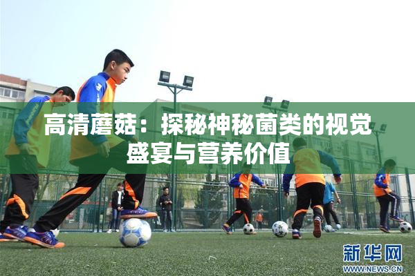 高清蘑菇：探秘神秘菌类的视觉盛宴与营养价值