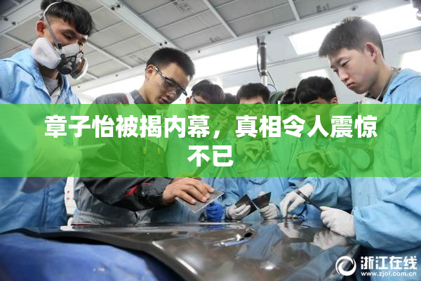 章子怡被揭内幕，真相令人震惊不已