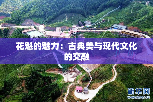 花魁的魅力：古典美与现代文化的交融