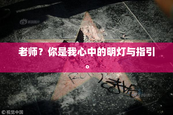 老师？你是我心中的明灯与指引。