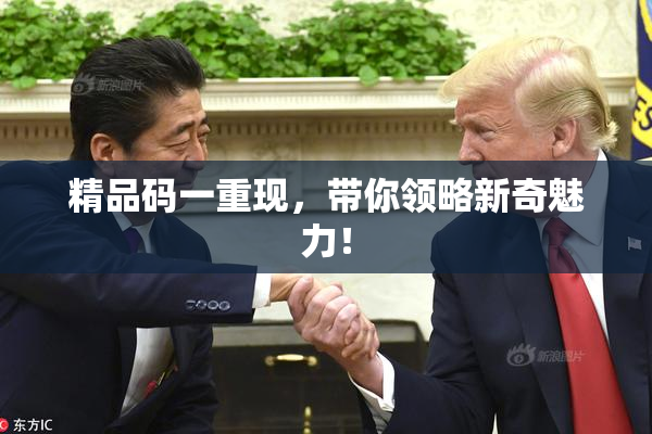 精品码一重现，带你领略新奇魅力！