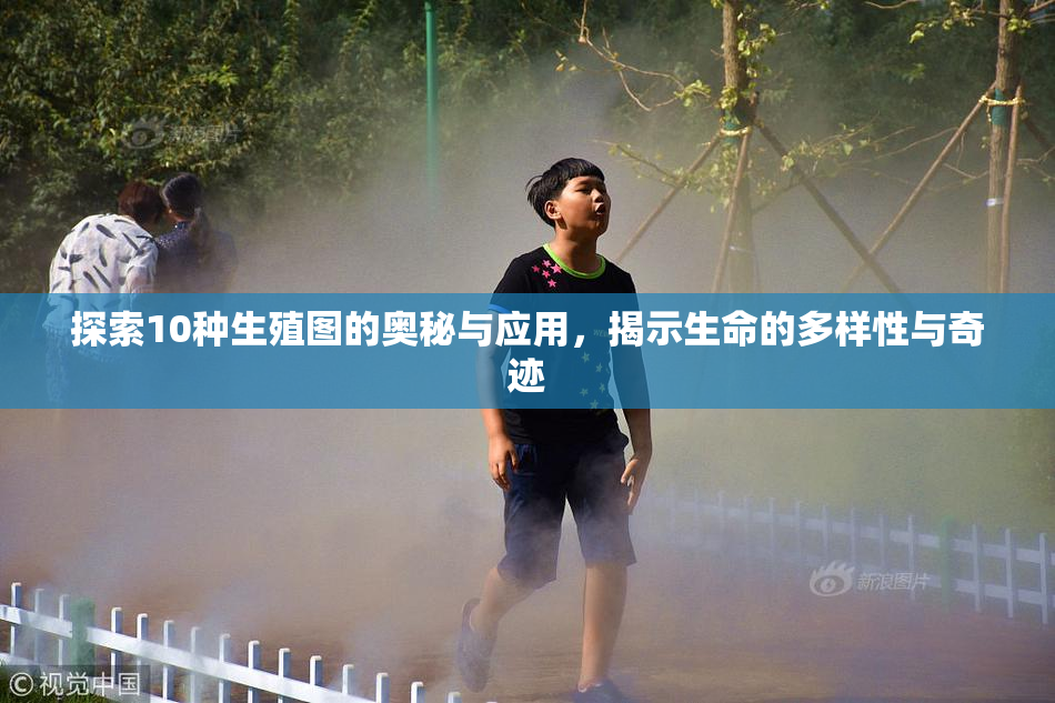探索10种生殖图的奥秘与应用，揭示生命的多样性与奇迹