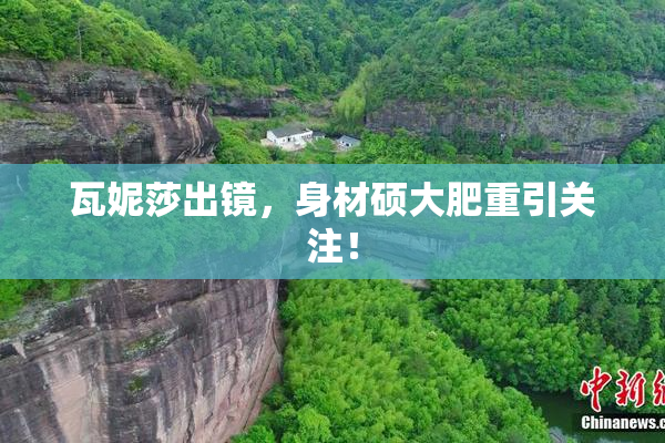 瓦妮莎出镜，身材硕大肥重引关注！