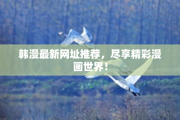 韩漫最新网址推荐，尽享精彩漫画世界！