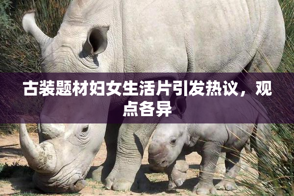 古装题材妇女生活片引发热议，观点各异