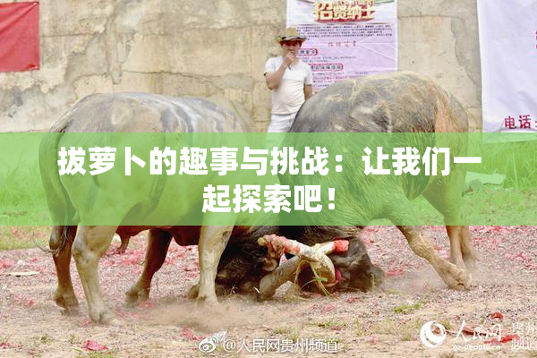 拔萝卜的趣事与挑战：让我们一起探索吧！