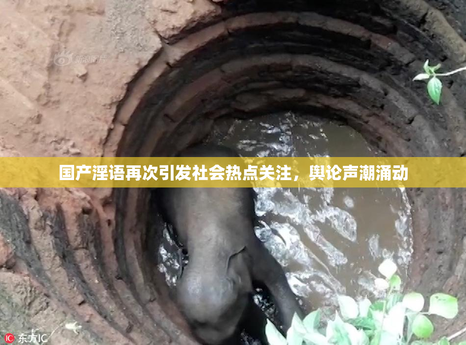 国产淫语再次引发社会热点关注，舆论声潮涌动