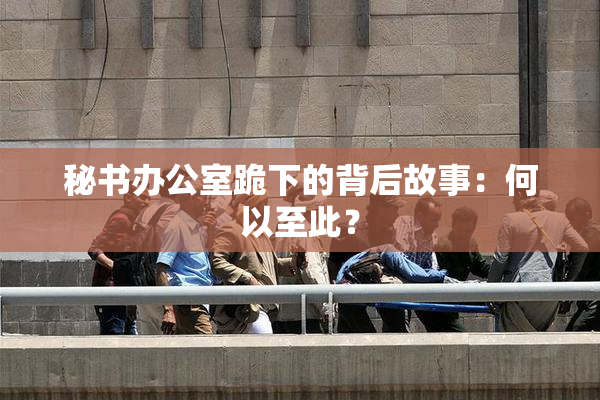 秘书办公室跪下的背后故事：何以至此？