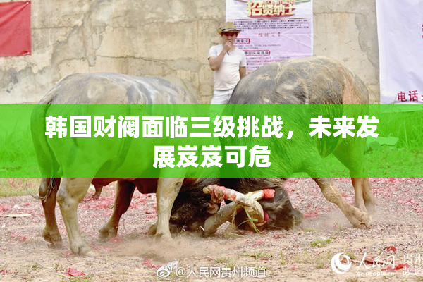 韩国财阀面临三级挑战，未来发展岌岌可危