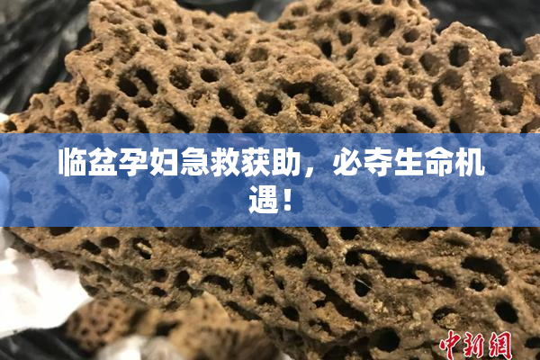 临盆孕妇急救获助，必夺生命机遇！