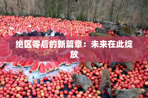 绝区零后的新篇章：未来在此绽放