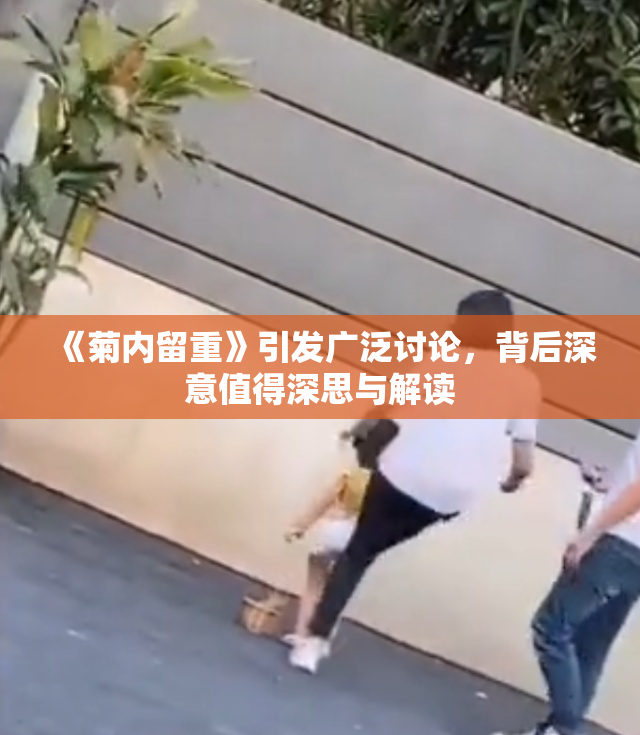 《菊内留重》引发广泛讨论，背后深意值得深思与解读