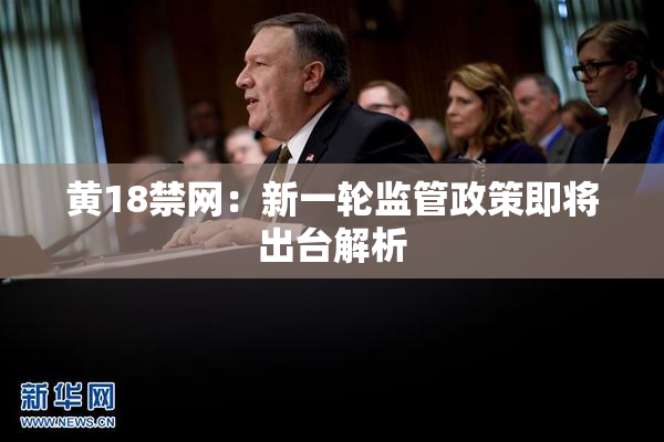 黄18禁网：新一轮监管政策即将出台解析