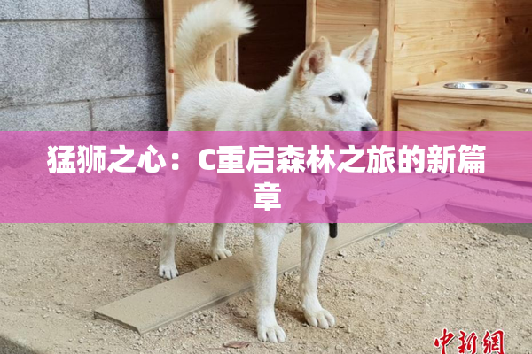 猛狮之心：C重启森林之旅的新篇章