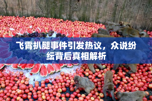 飞霄扒腿事件引发热议，众说纷纭背后真相解析