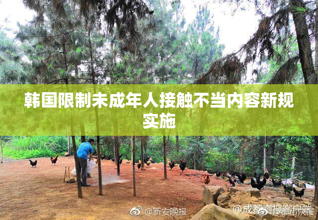 韩国限制未成年人接触不当内容新规实施