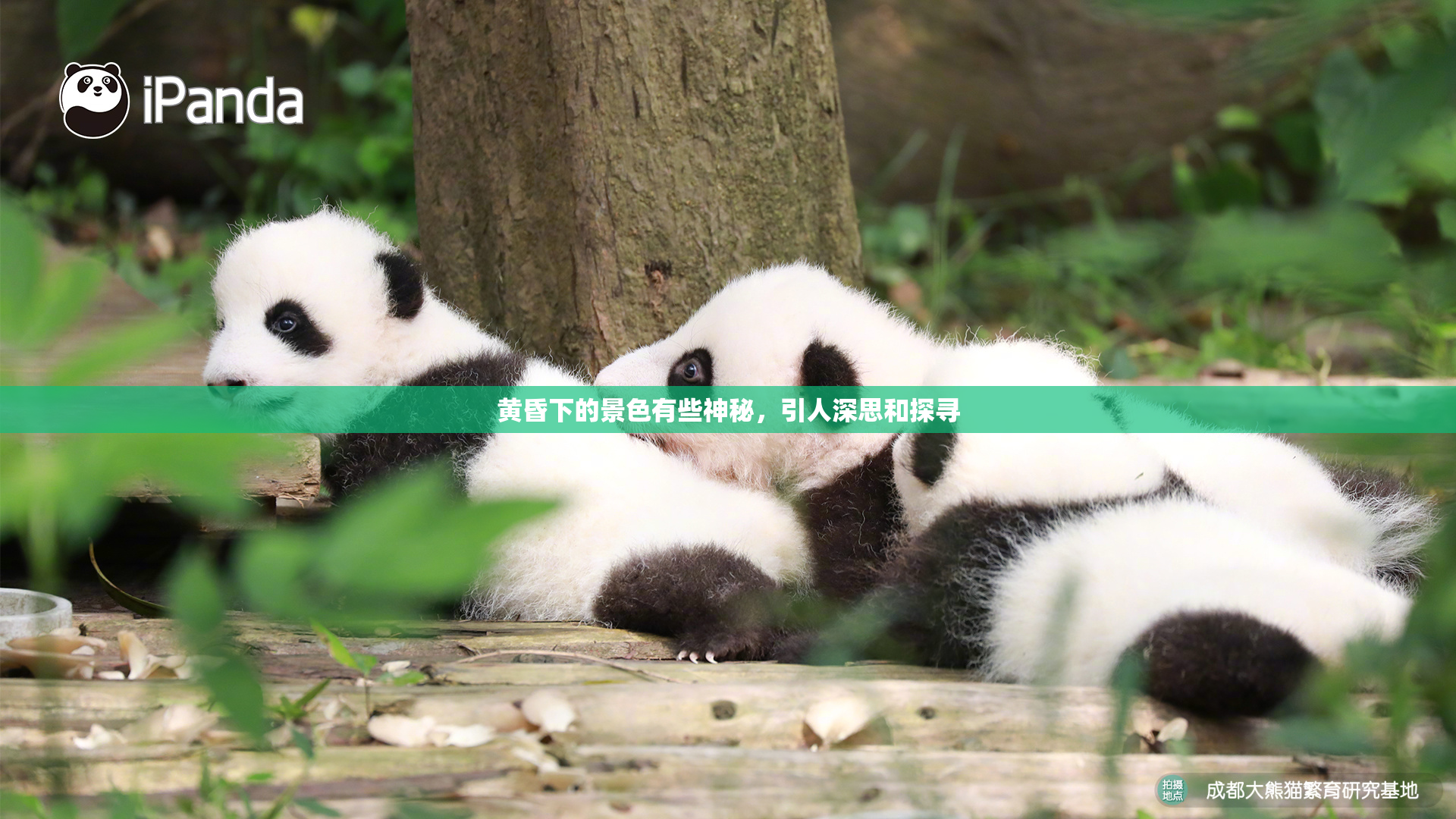 黄昏下的景色有些神秘，引人深思和探寻