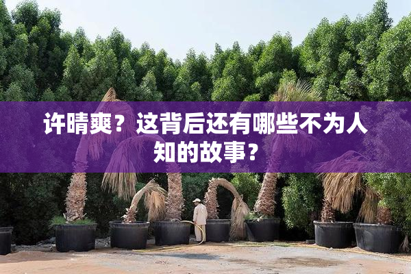 许晴爽？这背后还有哪些不为人知的故事？
