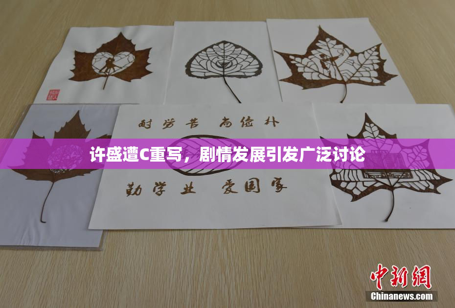许盛遭C重写，剧情发展引发广泛讨论