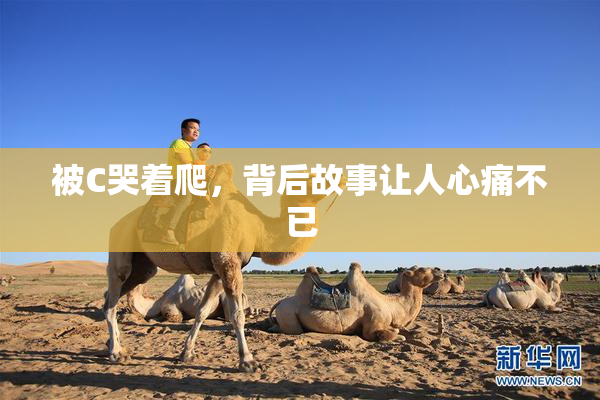 被C哭着爬，背后故事让人心痛不已