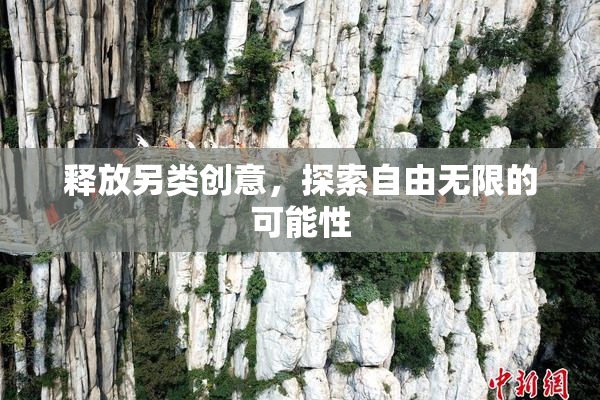 释放另类创意，探索自由无限的可能性