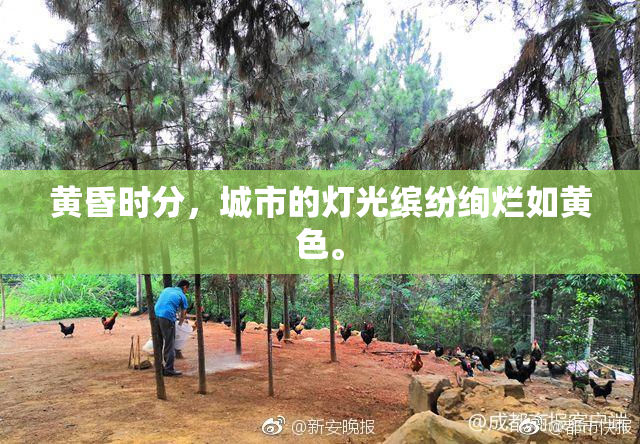 黄昏时分，城市的灯光缤纷绚烂如黄色。