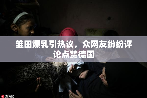 雏田爆乳引热议，众网友纷纷评论点赞德国