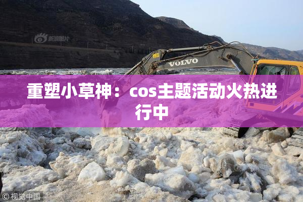 重塑小草神：cos主题活动火热进行中