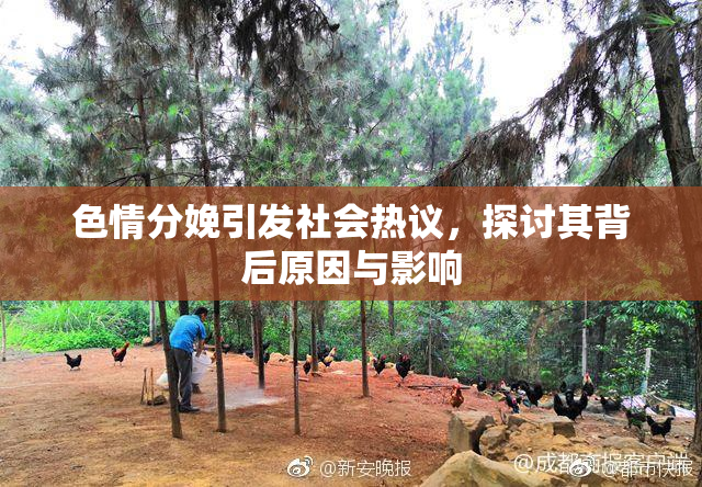 色情分娩引发社会热议，探讨其背后原因与影响