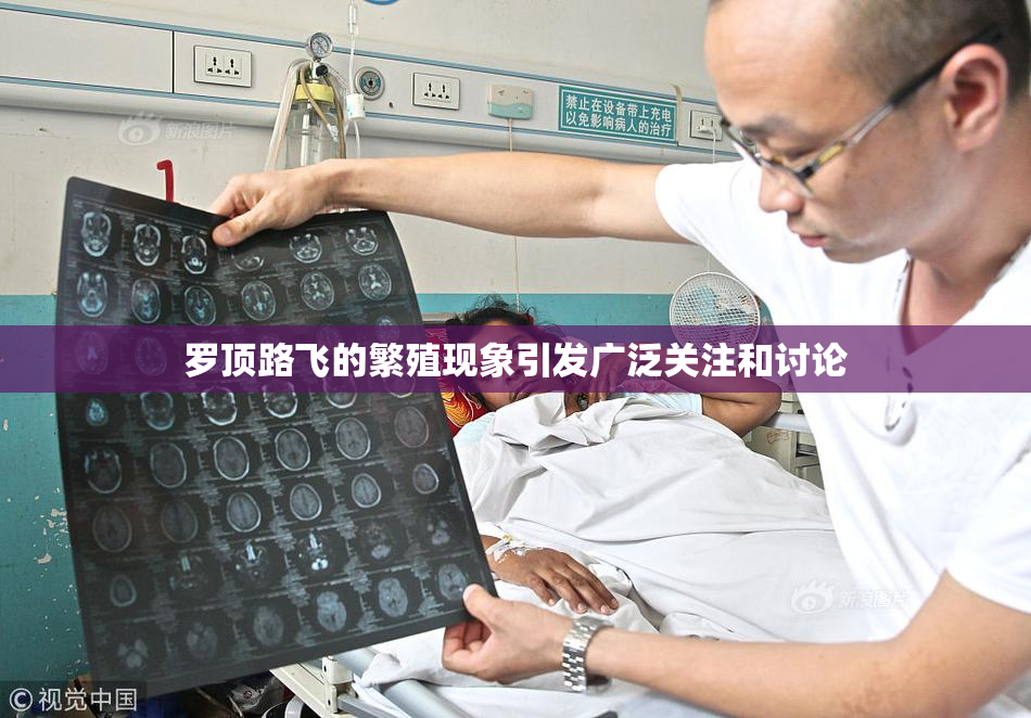 罗顶路飞的繁殖现象引发广泛关注和讨论