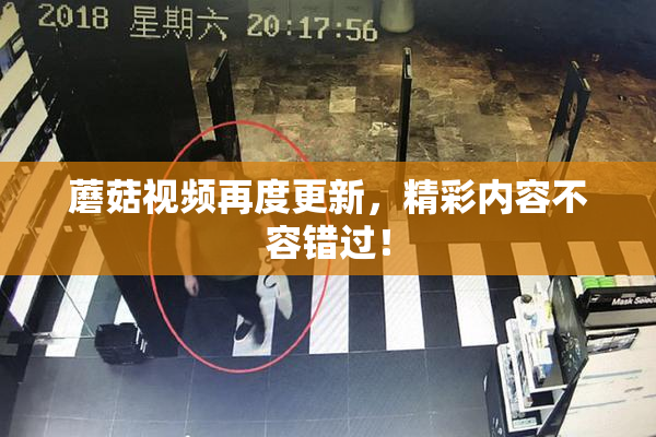 蘑菇视频再度更新，精彩内容不容错过！