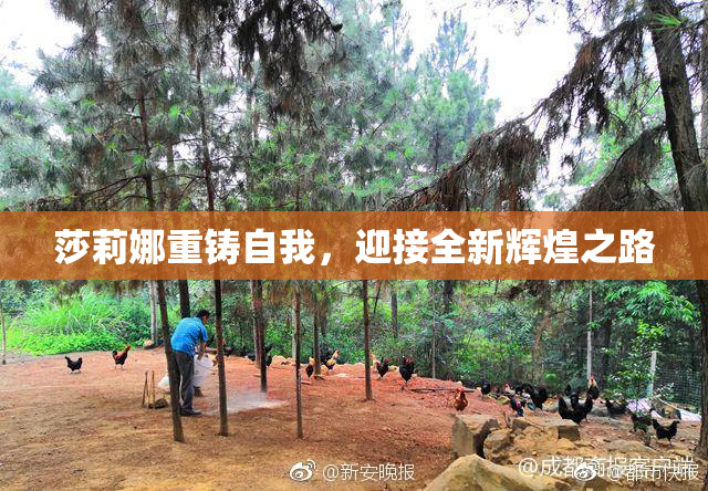 莎莉娜重铸自我，迎接全新辉煌之路