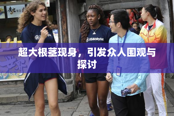 超大根茎现身，引发众人围观与探讨