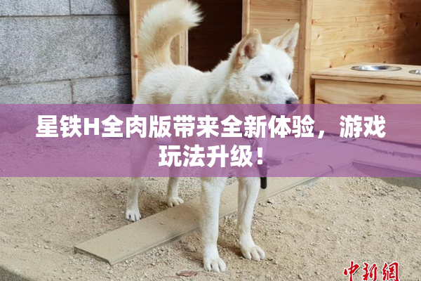 星铁H全肉版带来全新体验，游戏玩法升级！