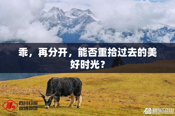 乖，再分开，能否重拾过去的美好时光？