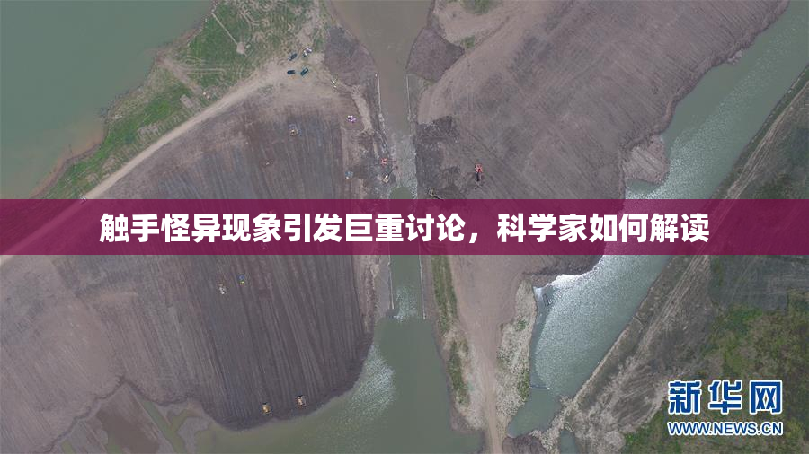 触手怪异现象引发巨重讨论，科学家如何解读