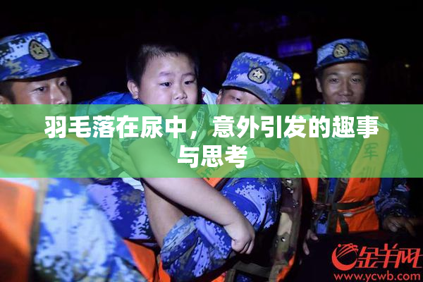 羽毛落在尿中，意外引发的趣事与思考