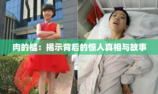 肉的槛：揭示背后的惊人真相与故事