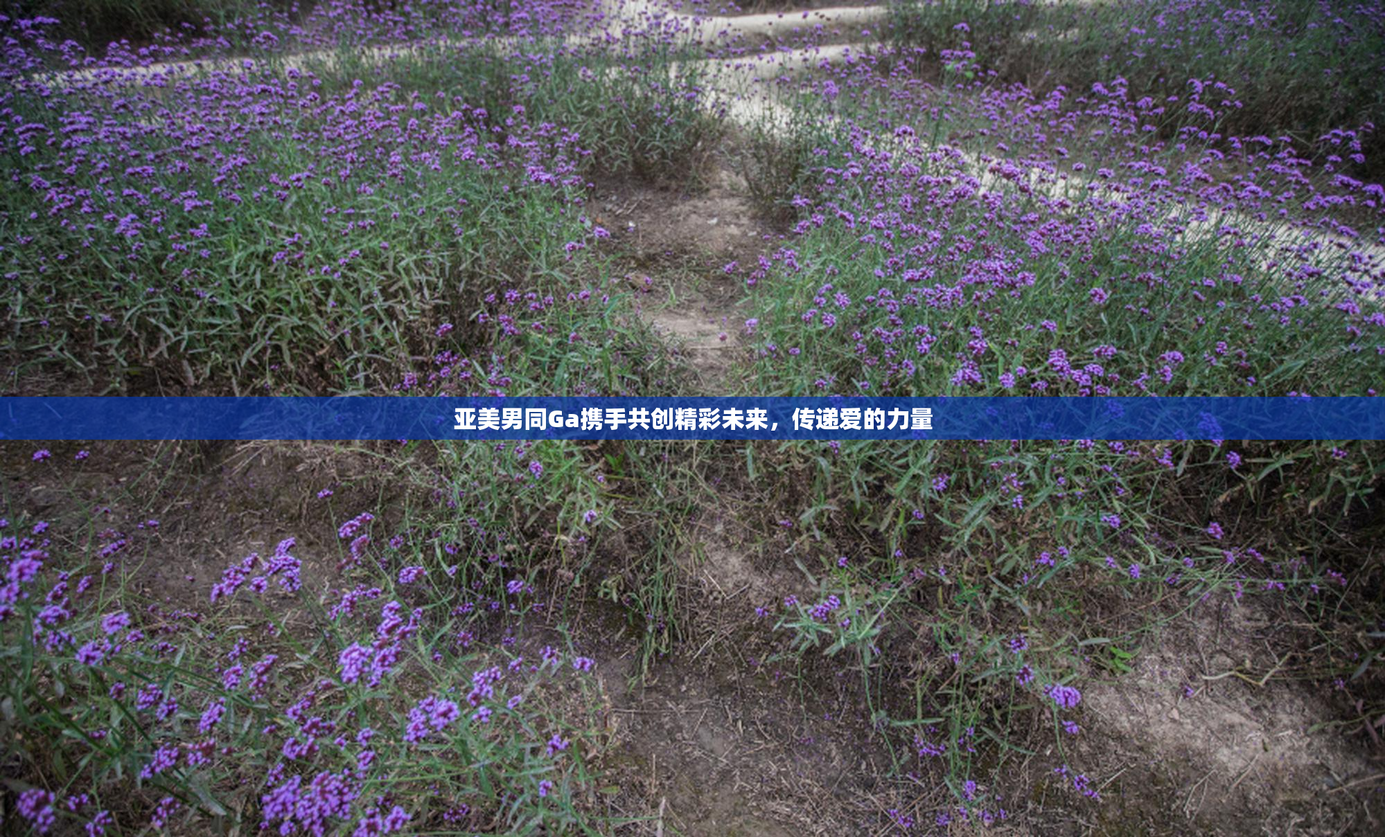 亚美男同Ga携手共创精彩未来，传递爱的力量