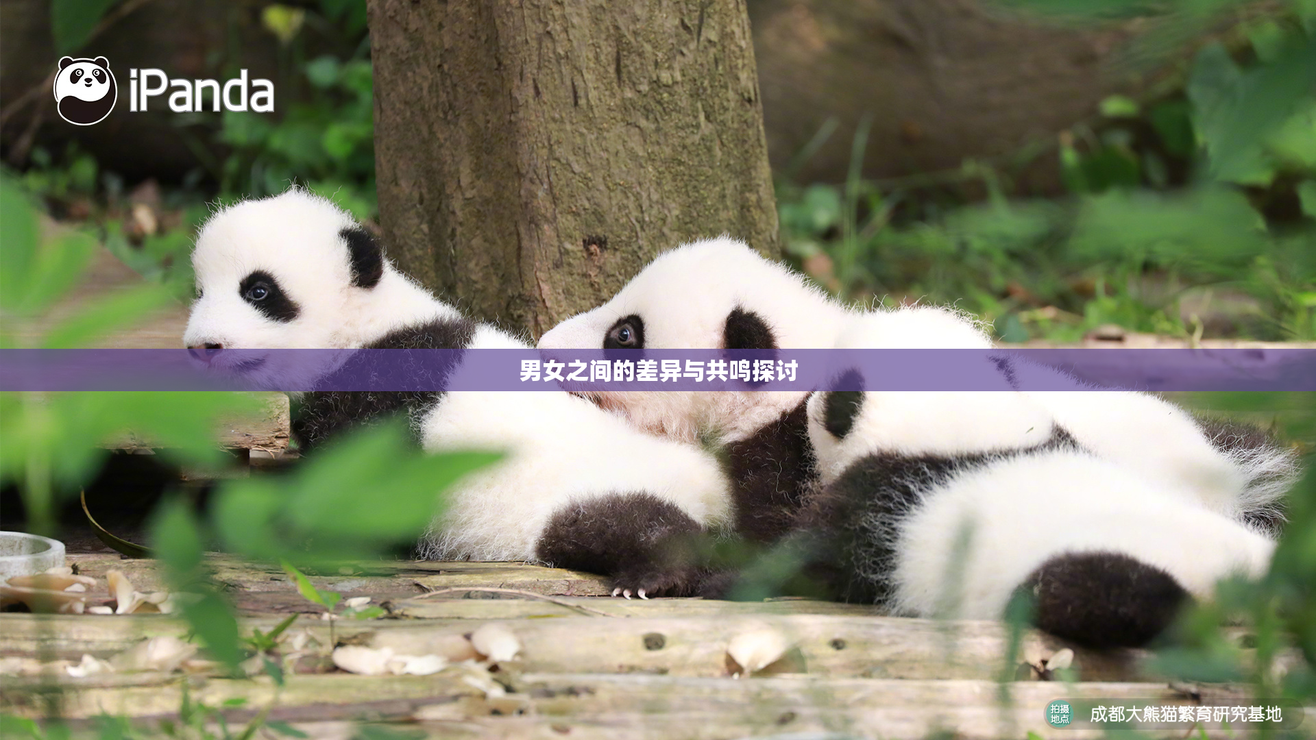 男女之间的差异与共鸣探讨