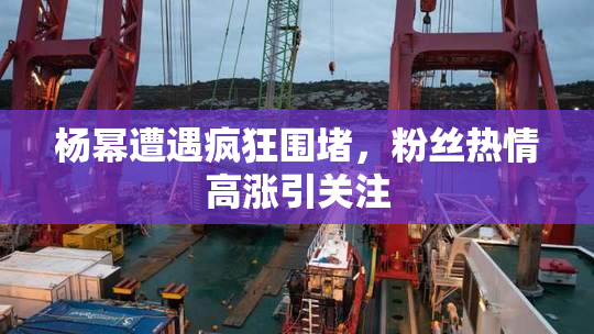 杨幂遭遇疯狂围堵，粉丝热情高涨引关注