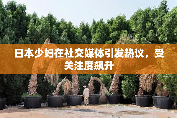 日本少妇在社交媒体引发热议，受关注度飙升