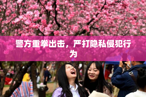 警方重拳出击，严打隐私侵犯行为
