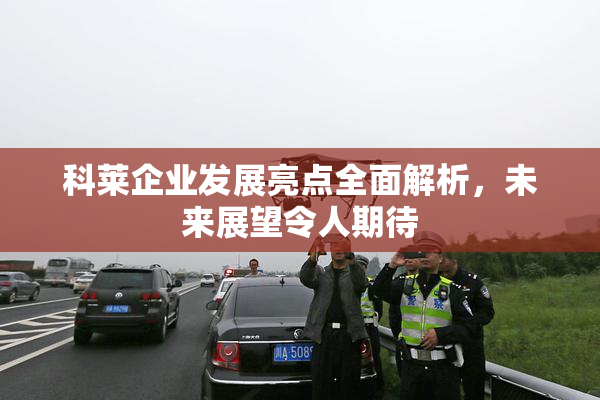 科莱企业发展亮点全面解析，未来展望令人期待