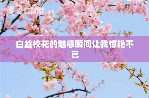 白丝校花的魅惑瞬间让我惊艳不已