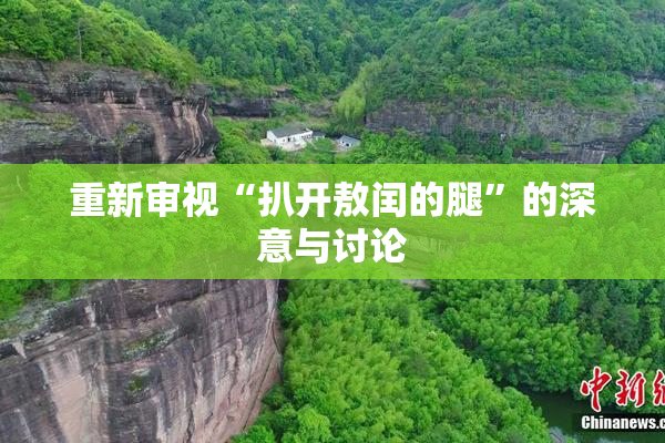 重新审视“扒开敖闰的腿”的深意与讨论