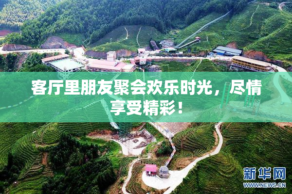 客厅里朋友聚会欢乐时光，尽情享受精彩！