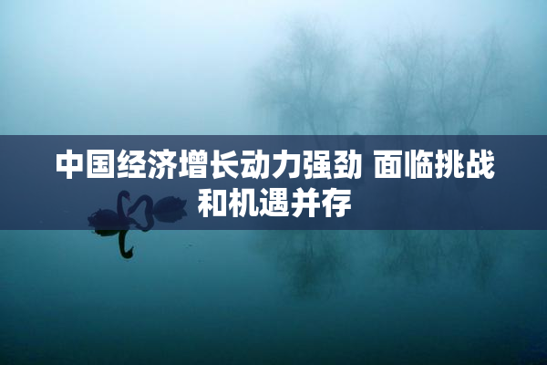 中国经济增长动力强劲 面临挑战和机遇并存