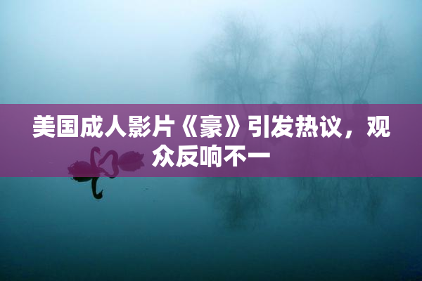 美国成人影片《豪》引发热议，观众反响不一